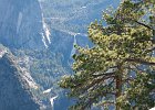 Yosemit, CA